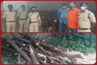 Sandalwood Smuggled from Central University Campus