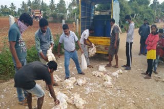 chicken canter vehicle overturned at dhoddaballapura