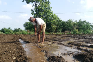 farmer irrigating