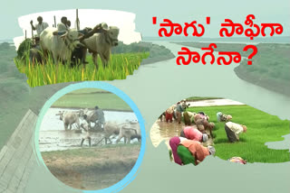 krishna delta farmers