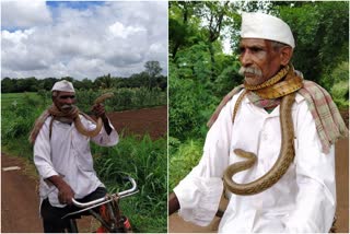 സൈക്കിൾ സവാരി  കഴുത്തിൽ പാമ്പുമായി സൈക്കിൾ സവാരി  വൈറൽ സൈക്കിൾ സവാരി  ഹൻഗാർഗ വൈറൽ സൈക്കിൾ സവാരി  Old man riding on cycle with a snake  viral cycle ride  bengaluru cycle ride