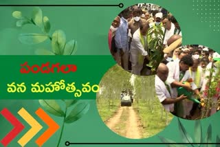 van mahotsav, green india challenge