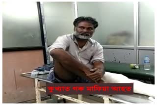 Notorious Cow Paddler injured in police firing At Kokrajhar