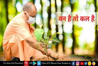 yogi government launched van mahotsav campaign