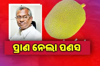 ପଣସ ଖସିବାରୁ ଜଣକର ମୃତ୍ୟୁ