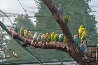 indore zoo