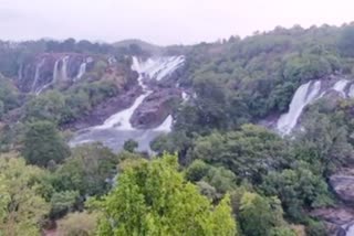 bharachukki-falls-will-opens-for-visitors-from-tomorrow