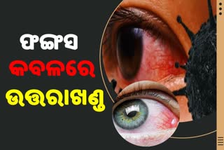 ଉତ୍ତରାଖଣ୍ଡରେ ବ୍ଲାକ ଫଙ୍ଗସ କାୟା, ଏଯାଏଁ ଚିହ୍ନଟ ହେଲେଣି 507 ଆକ୍ରାନ୍ତ