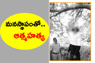 young man suicided in anantapur district