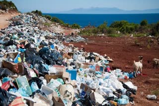 Global plastic pollution, plastic pollution