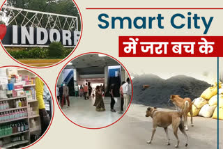 terror of dogs in indore