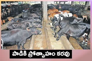 Dairy industry