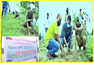 planting of saplings and Awareness