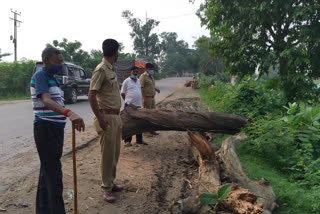 forest department stopped cutting down trees near national highway in Malda