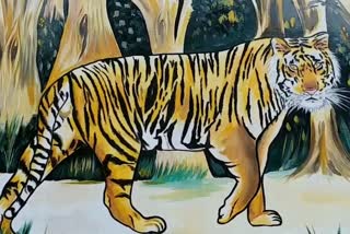 Counting of tigers in Palamu Tiger Reserve