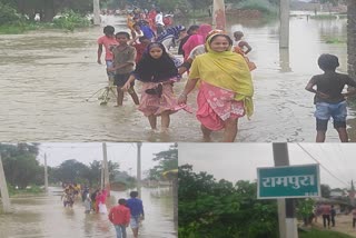 Darbhanga Flood News