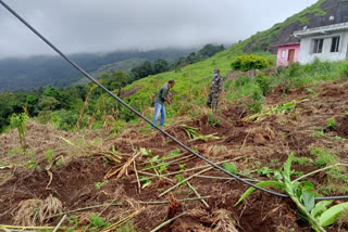 Illegal land acquisition in Chinnakanal idukki  ചിന്നക്കനാലില്‍ പിടിമുറിക്കി ഭൂമാഫിയ  ഇടുക്കി ചിന്നക്കനാൽ  ഭൂമി കയ്യേറ്റം  റവന്യു ഭൂമിയിൽ കയ്യേറ്റം  Revenue land acquisition