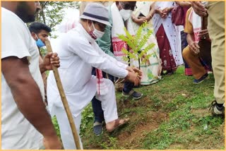 National Forest day observe at hojai