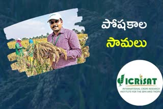 millets, ICRISAT