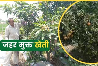 Organic Farming Karnal