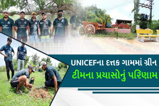 UNICEF દ્વારા દત્તક લેવામાં આવેલા ગામમાં ગ્રીન ટીમે કરેલા કાર્યનું પરિણામ... જુઓ કેવી છે સુવિધાઓ