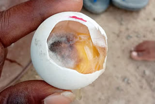 120 eggs are rotten at the Anganwadi Center!