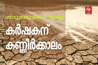 തിരുവാതിര ഞാറ്റുവേല  Thiruvathira Nattuvela  കര്‍ഷകര്‍  Dry field  farmer of kerala  കോഴിക്കോട് വാര്‍ത്ത  kozhikode news  കര്‍ഷകശ്രീ  karshakashree