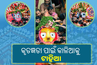 Tahia of lord jagannath, tahia given by raghaba das mutt, rath yatra, ଶ୍ରୀଗୁଣ୍ଡିଚା ଯାତ୍ରା, ସ୍ନାନ ଯାତ୍ରା, ଟାହିଆର ସ୍ବତନ୍ତ୍ରତା, ସୁଭଦ୍ରାଙ୍କ ଟୋପର, ପୁରୀ, puri