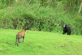 Nagarhole National Park