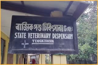 No Veterinary Doctor in Tingkhang State Veterinary Dispensary