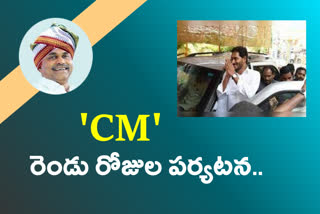 CM JAGAN TOUR