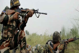 Militant killed, Srinagar News