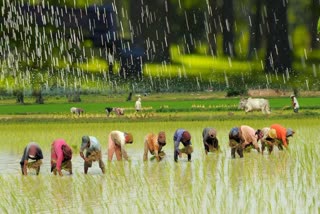 Haryana Weather Update