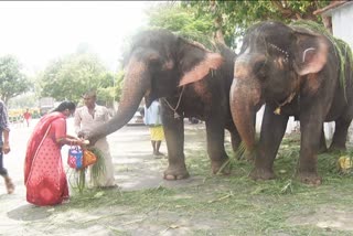 rathyatra