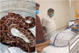 Kottayam Thidanadu Panchayat  Thidanadu Panchayat President  Thidanadu Panchayat President bitten by Python  snake bite  പഞ്ചായത്ത് പ്രസിഡന്‍റിനെ പെരുമ്പാമ്പ് കടിച്ചു  പെരുമ്പാമ്പ് കടിച്ചു  പാമ്പ് കടിയേറ്റു  കോട്ടയം