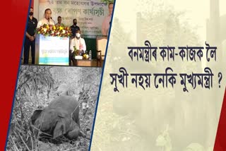 unhappy cm to probe elephant death himself