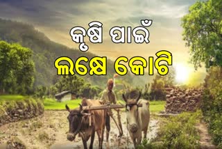 Modi Cabinet Meeting: ସରକାରଙ୍କ ଘୋଷଣା, ଚାଷୀଙ୍କୁ ମଣ୍ଡିରୁ ମିଳିବ 1 ଲକ୍ଷ କୋଟି