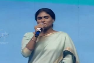 CM Jagan sister Sharmila
