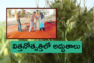 farmers-creating-miracles-with-sorghum-and-sajja-seed-crops