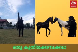 Meet Ali Abbas who came with a unique idea  srinagar  horse riding school  fazulla farms  കുതിരപ്രേമിയാണോ..എങ്കിൽ ഫസുള്ള ഫാംസിലേക്ക് പോന്നോളു!  ഫസുള്ള ഫാംസ്  അലി അബ്ബാസ്