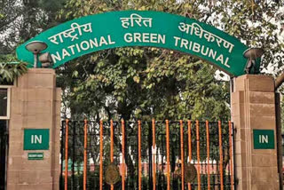 National Green Tribunal‌