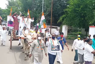 सोलापुरात काँग्रेसची बैलगाडी रॅली