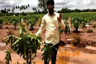 officers clears the unscientific agricultural ponds