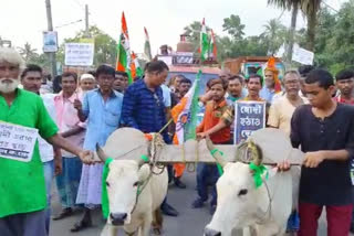 Jayanagar 2n0 block TMC protest against increasing fuel prices