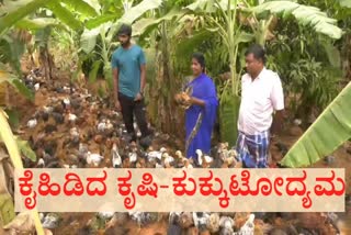 poultry business with agriculture