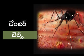 zika virus in kerala, దేశంలో జికా వైరస్