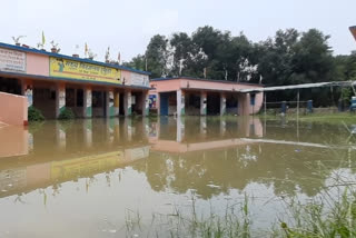 Darbhanga DM did aerial survey of flood affected areas