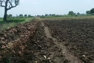 plowed path of villagers