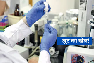 rt pcr test fix rate haryana