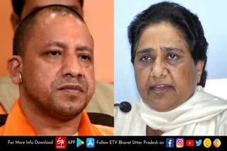 bsp-president-mayawati